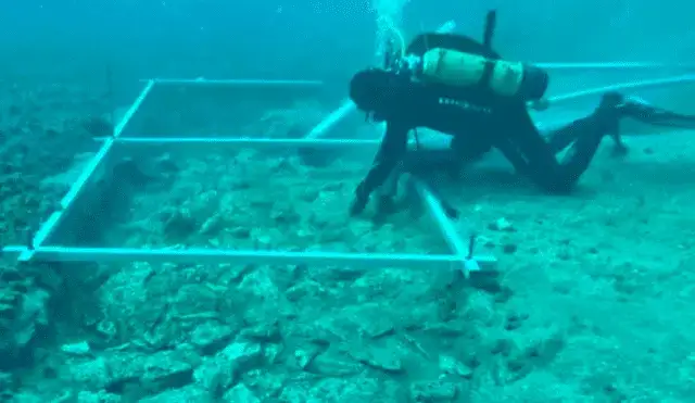 Arqueólogos encuentran una extraña 'carretera' de piedra sumergida bajo el mar de al menos 7.000 años de antigüedad