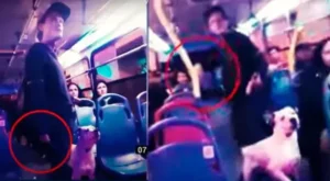 Terror en Lima Norte: Sujeto sube a los buses a pedir limosna a los pasajeros con cuchillo y pitbull y causa pánico