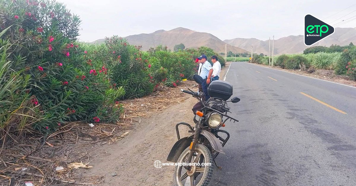 Barranca: Serenazgo halla cuerpo sin vida en el sector de Bella Aurora